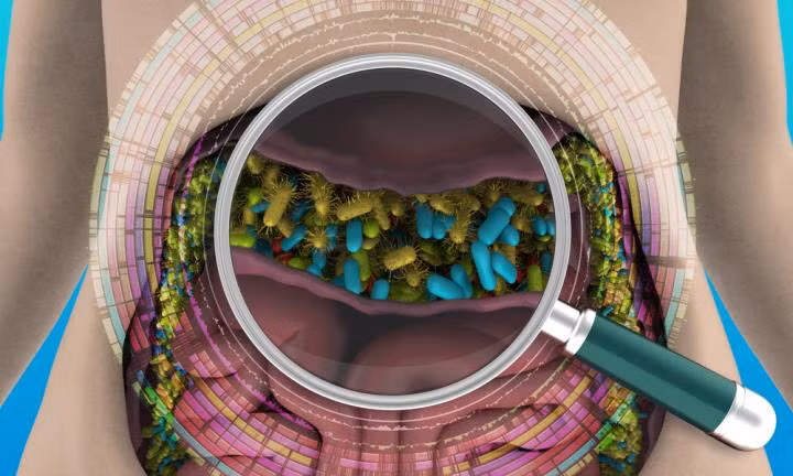Ruột người chứa 140.000 loại virus, hầu hết đều chưa được biết -0