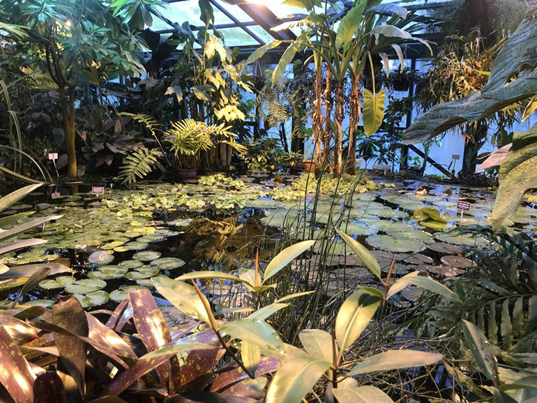 Khu vườn độc đáo ngay trong lòng phố xá Moscow -0