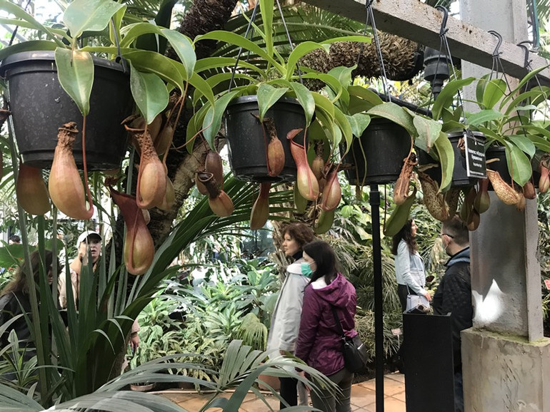 Khu vườn độc đáo ngay trong lòng phố xá Moscow -0