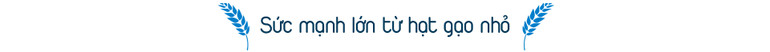 Từ hũ gạo cứu đói đến danh xưng thế giới -0