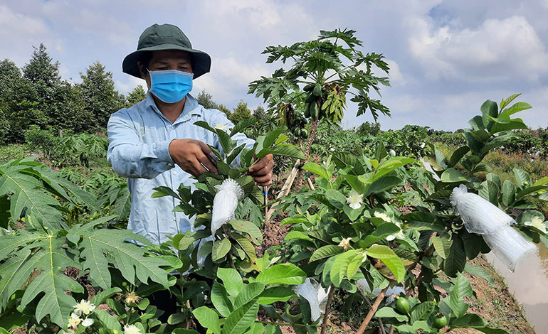 Vĩnh Long ấm tình ngày về quê -0
