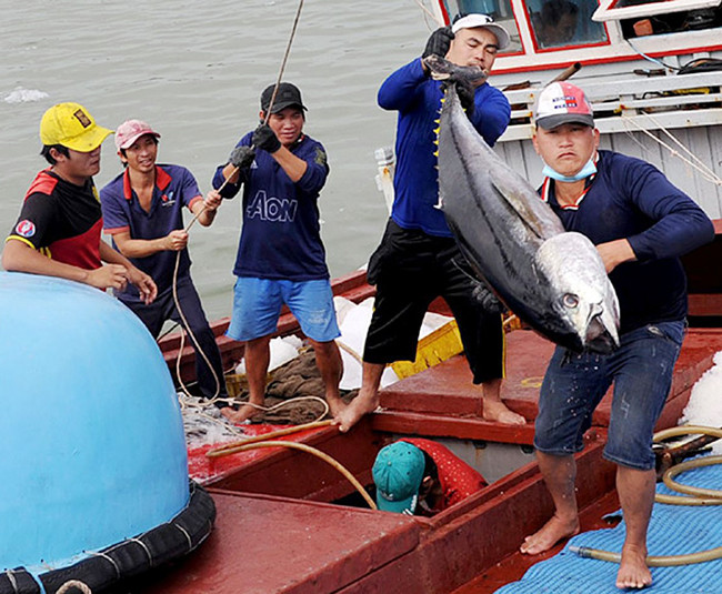 Phú Yên phát huy tiềm năng, lợi thế kinh tế biển -0