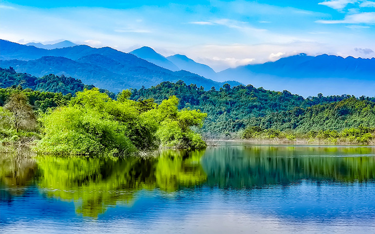 Vườn quốc gia Vũ Quang với hệ sinh thái đa dạng là nơi trú ngụ của hàng nghìn cá thể động vật quý hiếm. (Ảnh VIỆT HÙNG) “Bệnh viện” cho động vật hoang dã bắc Trường Sơn -0