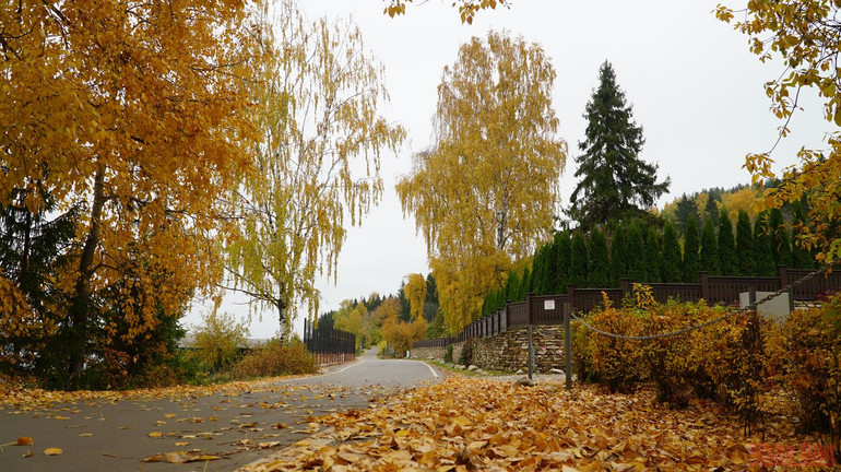 Thị trấn Plios- nơi in dấu danh họa Levitan và mùa thu vàng nước Nga -0