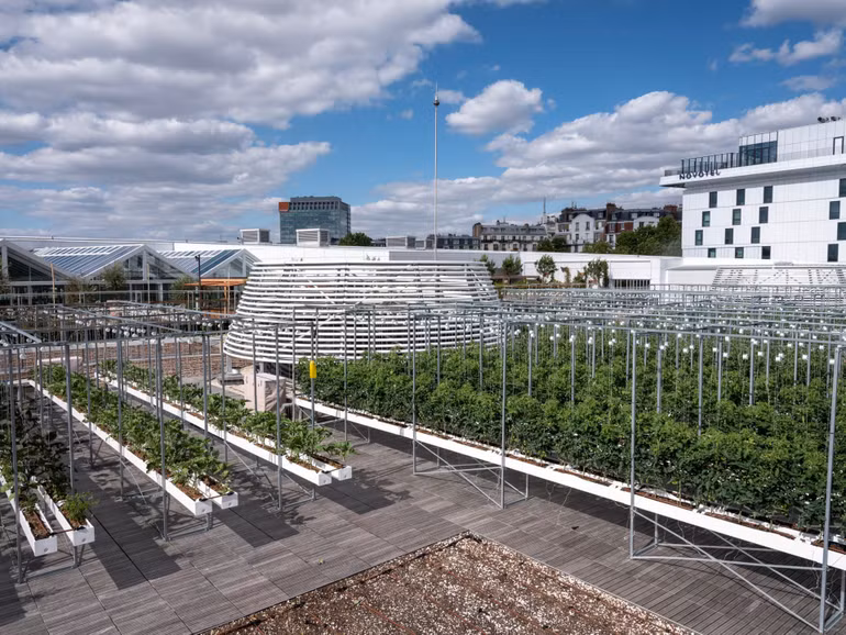 Bên trong nông trại đô thị trên mái nhà lớn nhất thế giới -0