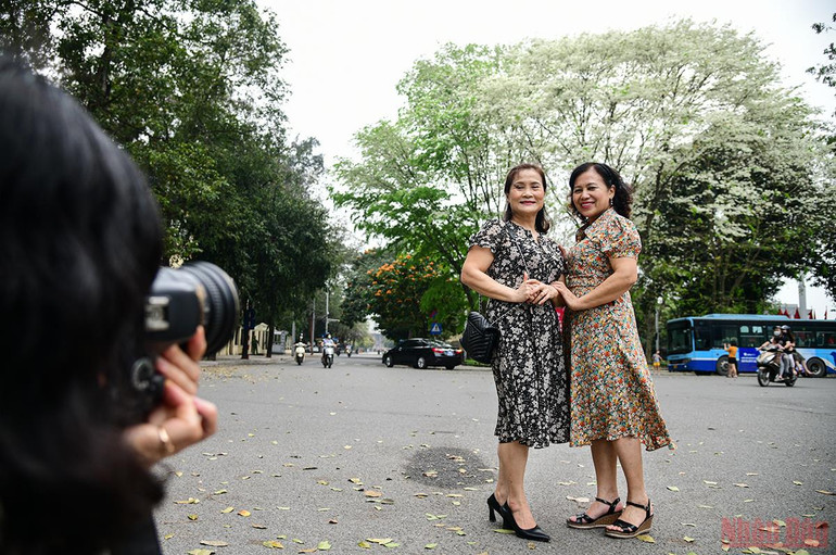 Hà Nội rực rỡ mùa hoa tháng 3 -0