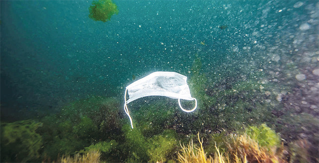 Thách thức sống bền vững thời đại dịch -0