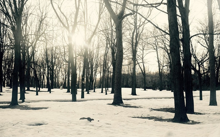 Con đường trở thành thủ khoa đại học Pháp của nữ sinh trường làng -2