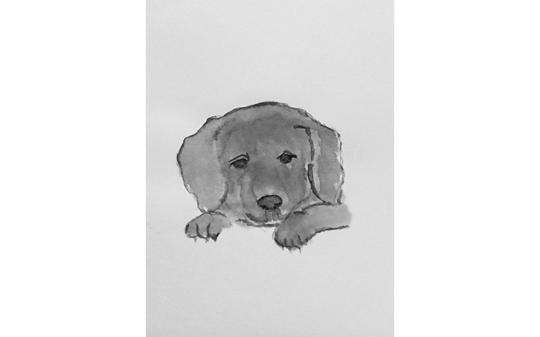 Các tác phẩm trào phúng mới của tác giả Ðặng Minh Phương và Nam Thương -0