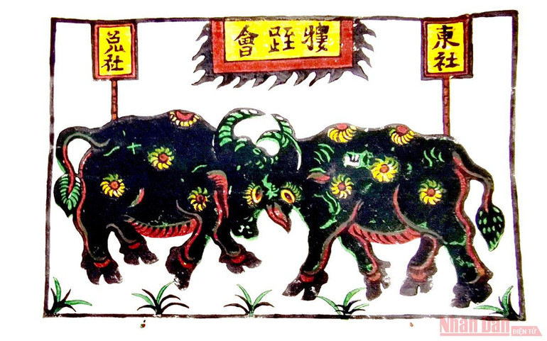 Tranh Đông Hồ “Hội chọi trâu”. Trâu từ tâm thức “in” ra hiện vật và hình ảnh -0