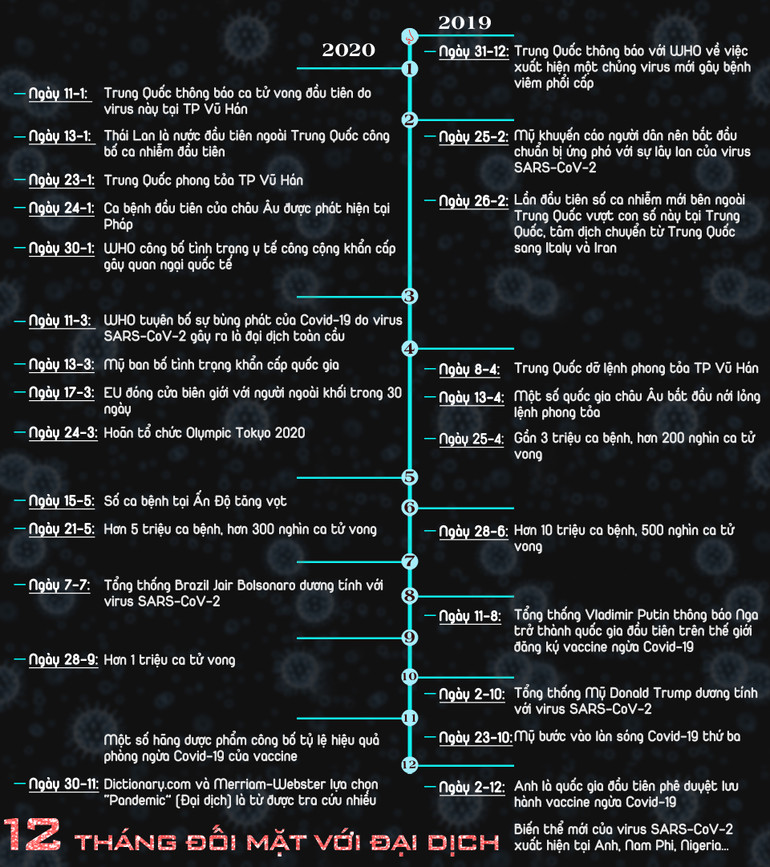 Nhìn lại năm 2020 qua biến cố Covid-19 -0