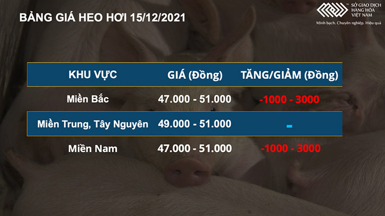 Thị trường nông sản phân hóa, Việt Nam giảm nhập khẩu thức ăn chăn nuôi tháng 11 -0