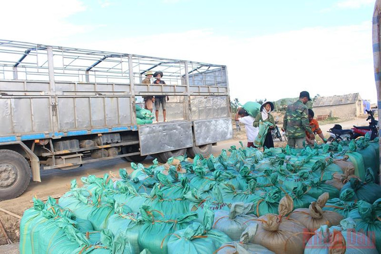 Giá muối tăng, người làm muối Quỳnh Lưu phấn khởi bám nắng sản xuất -0