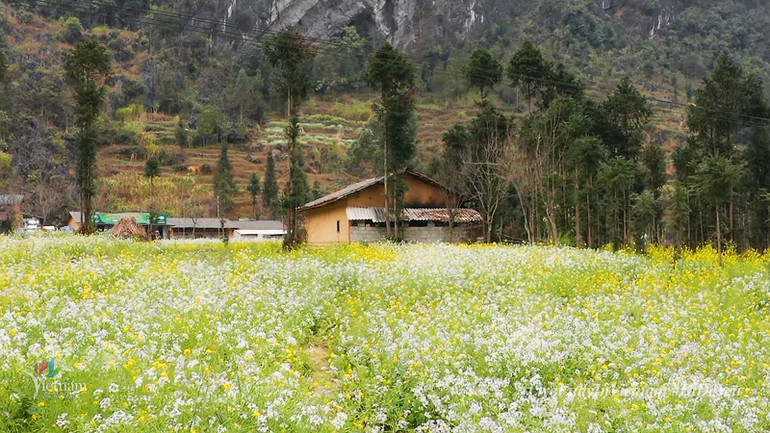 Sắc xuân ấm áp trong clip “Việt Nam: Đi Để Yêu! - Xuân đoàn viên” ảnh 3 Sắc xuân ấm áp trong clip “Việt Nam: Đi Để Yêu! - Xuân đoàn viên” -0
