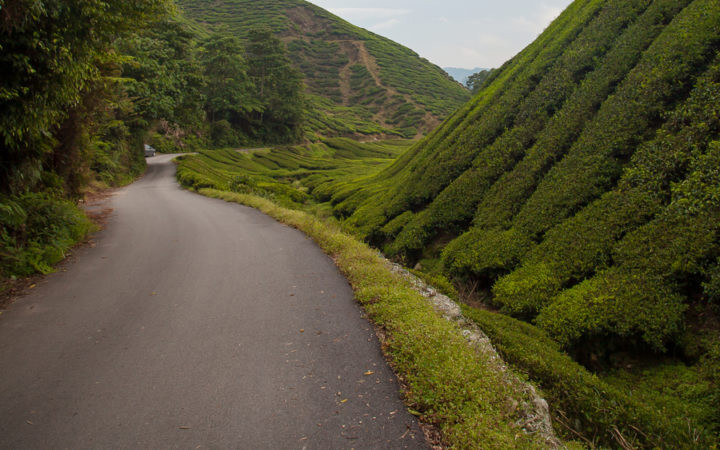 Việt Nam trong danh sách địa điểm mới cho những người đam mê đạp xe -0