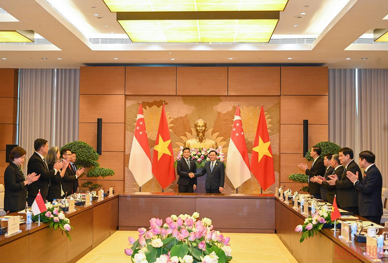 Chủ tịch Quốc hội Vương Đình Huệ đón, hội đàm với Chủ tịch Quốc hội Singapore Tan Chuan-Jin -5