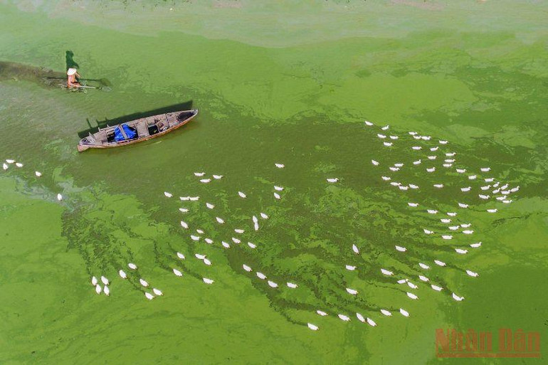 Bến Nôm đẹp ngỡ ngàng mùa nước cạn -0