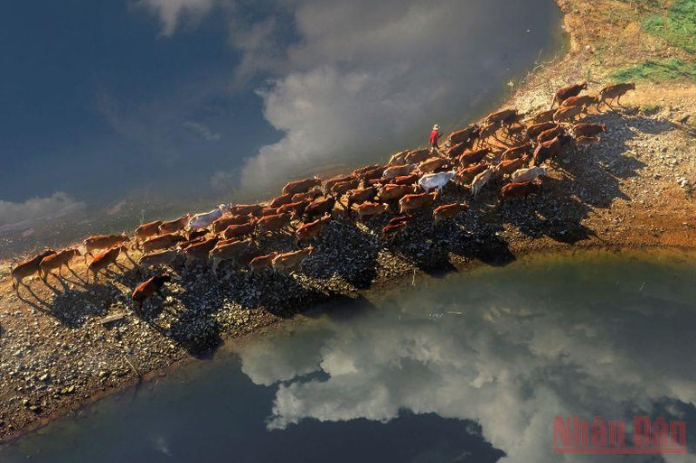 Bến Nôm đẹp ngỡ ngàng mùa nước cạn -0