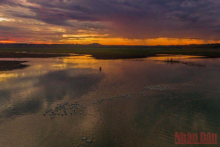 Bến Nôm đẹp ngỡ ngàng mùa nước cạn -0