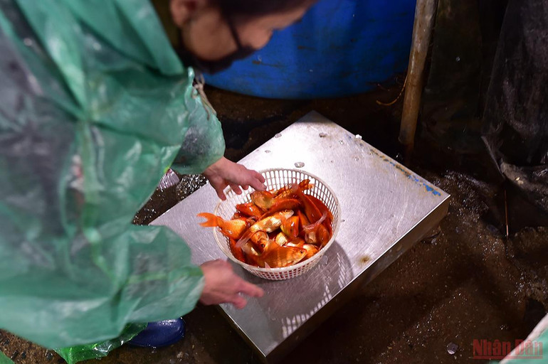 Chợ cá Yên Sở tấp nập, ngập sắc đỏ vàng Tết ông Công ông Táo -0