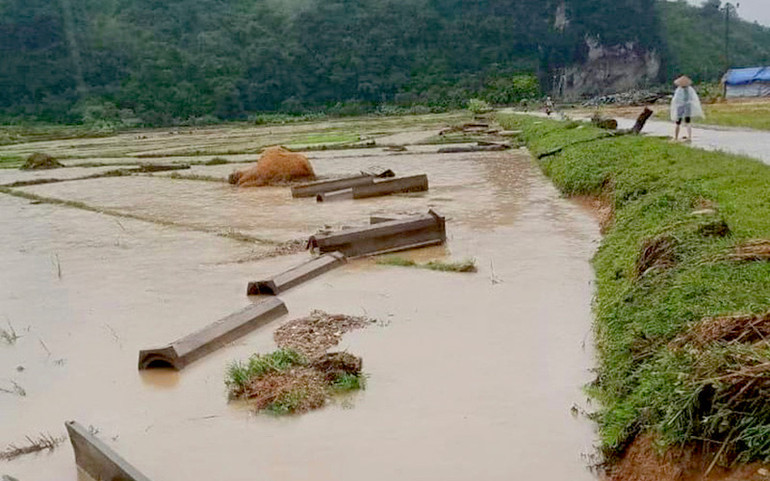Mưa lớn gây thiệt hại tại Tuyên Quang -0