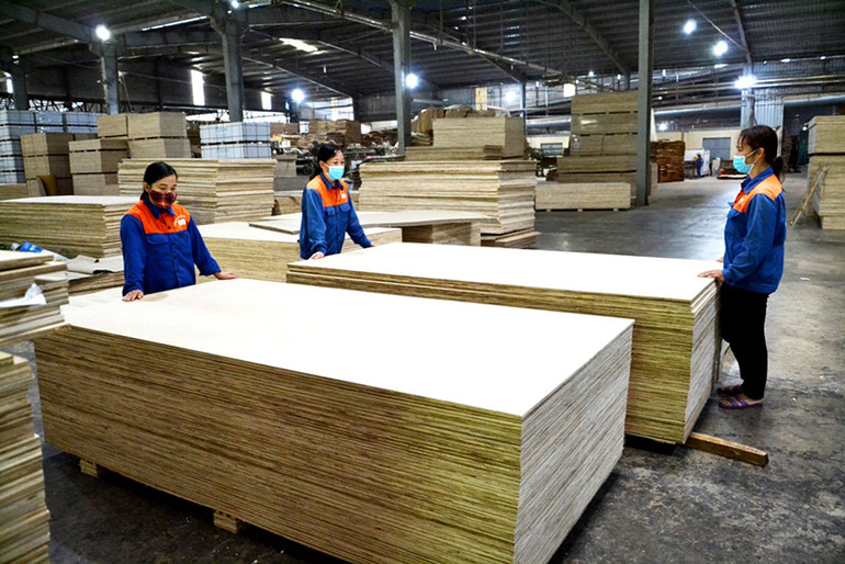 Tạo việc làm cho lao động người dân tộc thiểu số ở Lào Cai -0