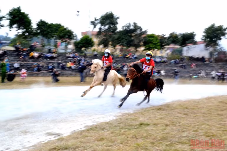 Khai hội “Vũ điệu cao nguyên trắng Bắc Hà” -0