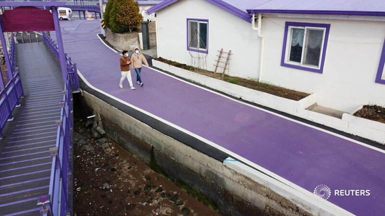 Độc đáo “Quần đảo Tím” hút khách ở Hàn Quốc -0