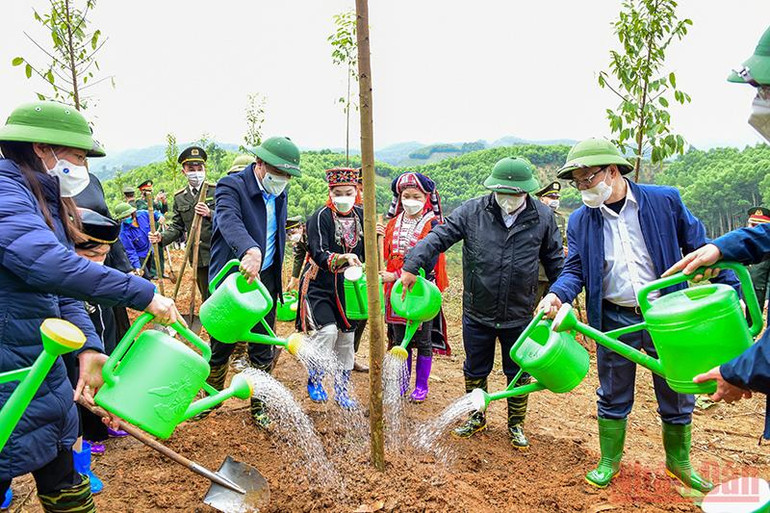 Tuyên Quang phát động thi đua và Tết trồng cây “Đời đời nhớ ơn Bác Hồ” Xuân Nhâm Dần 2022 -0