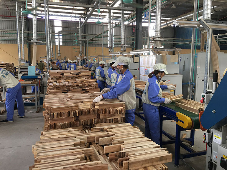 Dây chuyền chế biến gỗ rừng trồng xuất khẩu của Công ty cổ phần Woodsland. Dây chuyền chế biến gỗ rừng trồng xuất khẩu của Công ty cổ phần Woodsland.