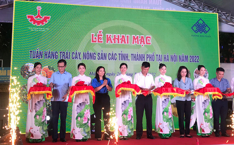 Khai mạc chương trình Tuần hàng trái cây, nông sản các tỉnh, thành phố tại Hà Nội. Hà Nội tổ chức Tuần hàng trái cây, nông sản -0