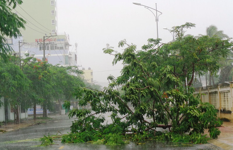 Bão số 12 gây nhiều thiệt hại tại các địa phương -0