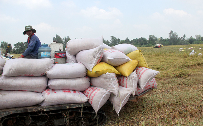 Nông dân gặp khó vì giá phân bón -0