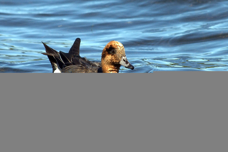 Những cổ vật nào là bảo vật quốc gia? ảnh 1