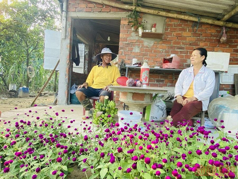 Quảng Ngãi: “Du mục” giữa lòng phố -0