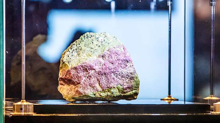 Gia đình toàn “người khổng lồ” -0