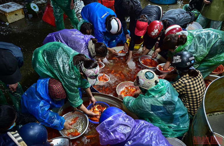 Chợ cá Yên Sở tấp nập, ngập sắc đỏ vàng Tết ông Công ông Táo -0