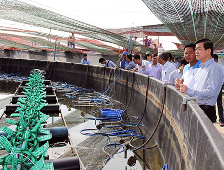 Bà Rịa-Vũng Tàu phát triển nông nghiệp công nghệ cao -0