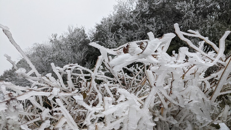 Băng giá phủ trắng xóa đỉnh Phja Oắc -0