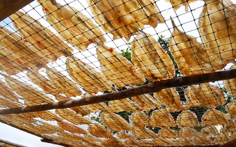 Nhớ mùi cá khô dân dã -0