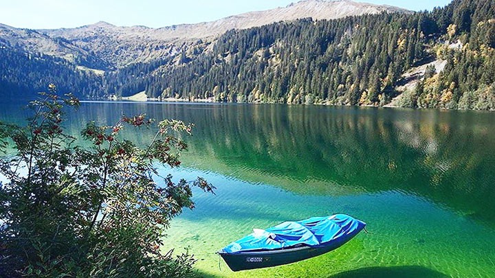 Bộ sưu tập ảnh máy bán hàng tự động -0