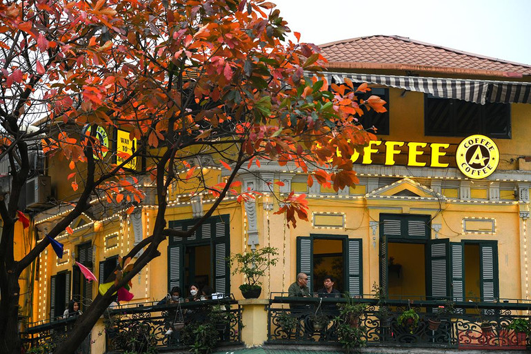 Hà Nội đẹp nao lòng mùa lá rụng tháng 3 -0