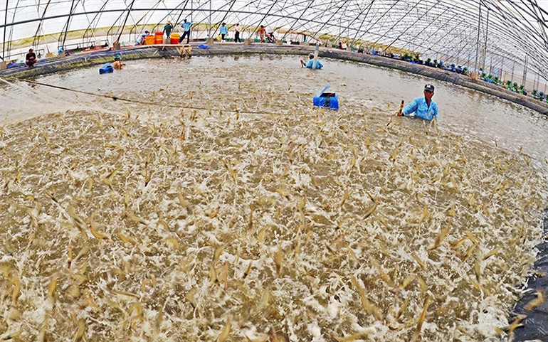 Bộ ba chính sách phát triển đồng bằng sông Cửu Long -0