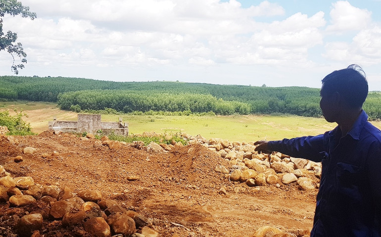 Di tích lịch sử - văn hóa Lăng mộ cụ Lâm Hoằng bị xâm phạm nghiêm trọng -0