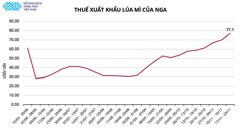 Lúa mì nổi sóng: Nhà đầu tư hào hứng, doanh nghiệp nhập khẩu khó càng thêm khó -0