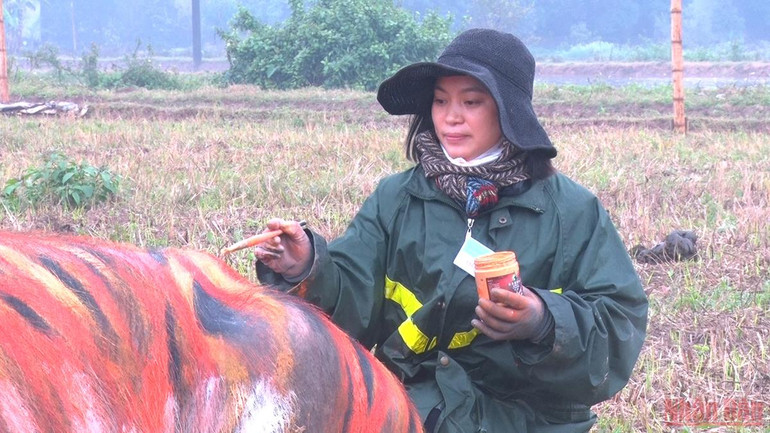 Nữ họa sĩ tham gia vẽ trang trí trâu tại Lễ hội Tịch điền Đọi Sơn. Hội thi vẽ trang trí trâu Lễ hội Tịch điền Đọi Sơn -0