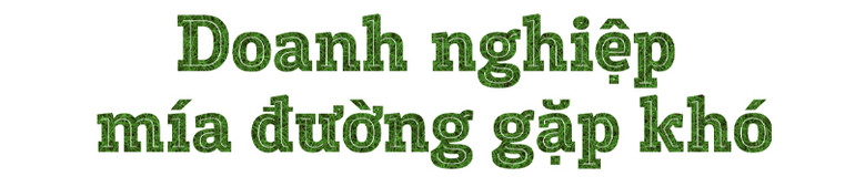 Mía đường “lâm nguy” -0