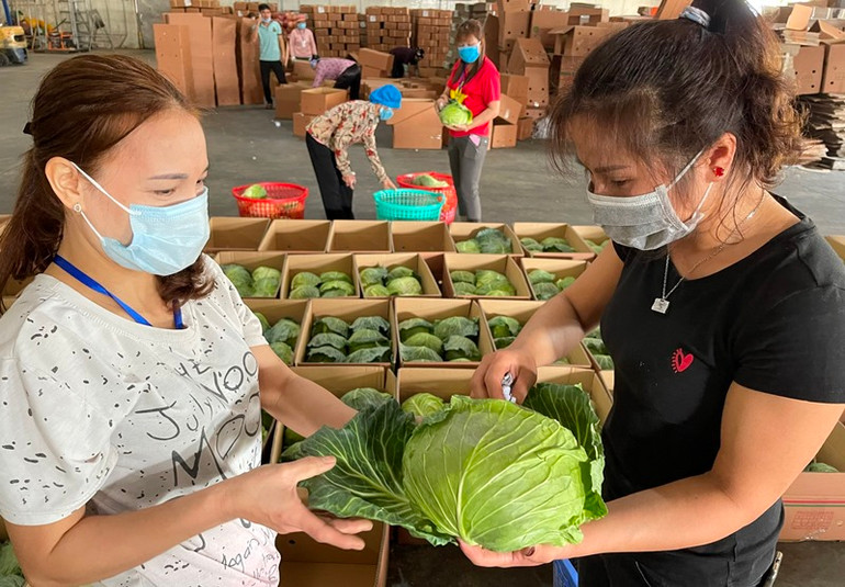 Hải Dương hỗ trợ người lao động bị ảnh hưởng dịch Covid-19 -0