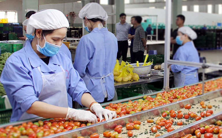 Thời của nông nghiệp 4.0:&nbsp;Đổi chất, tăng lượng -1