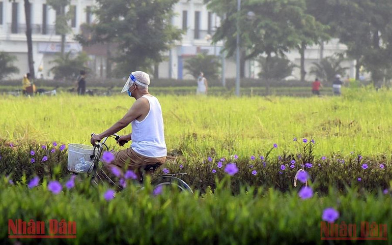 Thúc đẩy già hóa năng động trong ASEAN -0